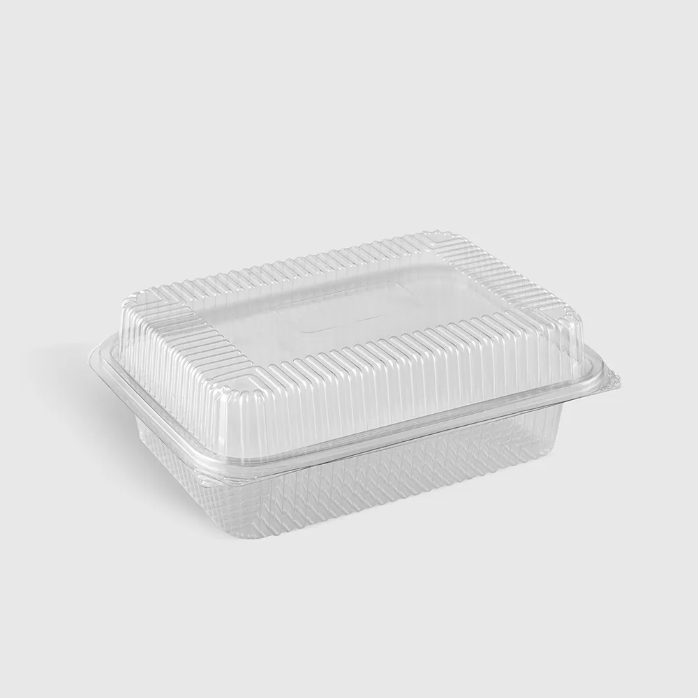 Bakery Rectangular Dome Hinged Lid Plastic Container (PET) (CC)