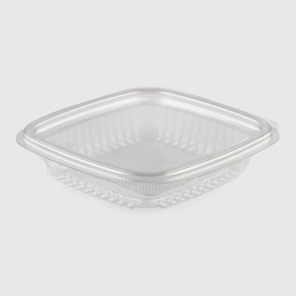small squared hinged lid plastic container100