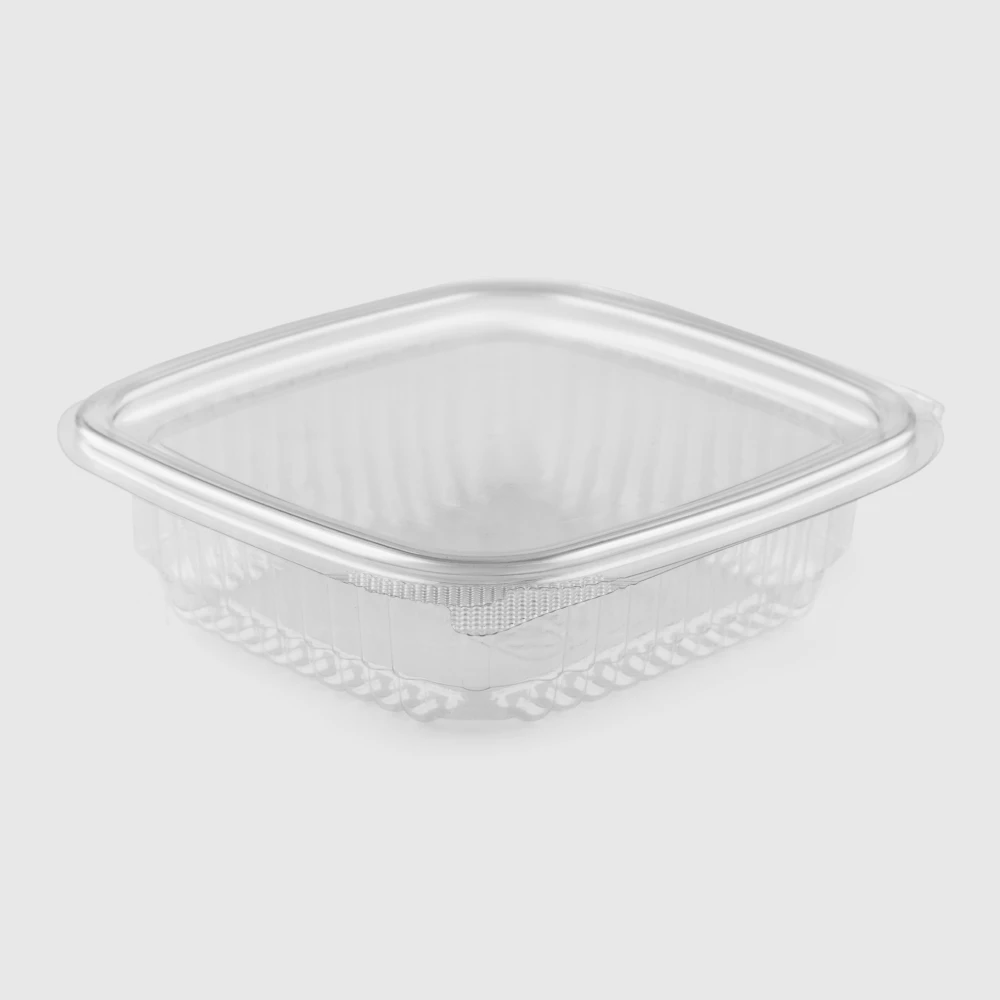 small squared hinged lid plastic container150