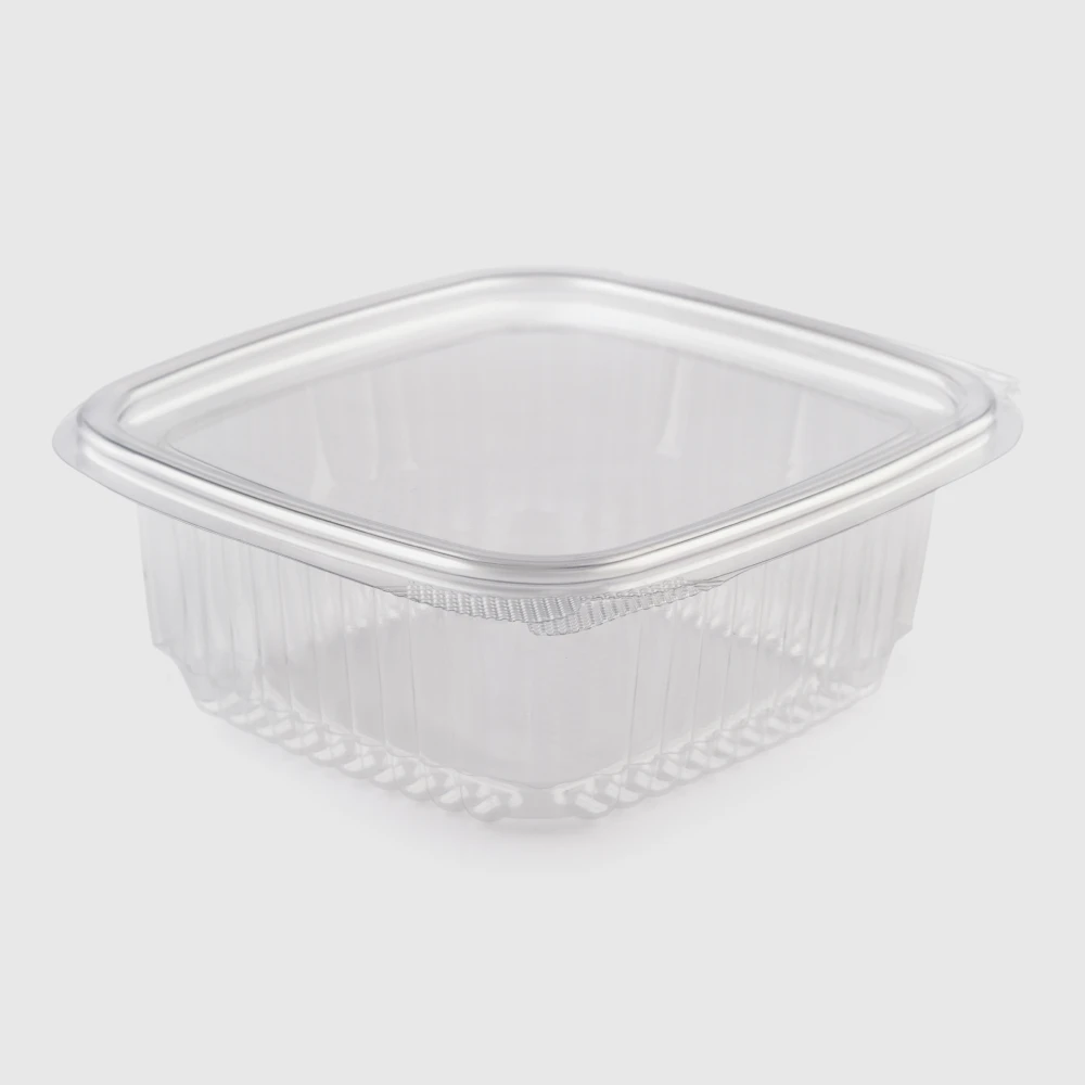 small squared hinged lid plastic container250