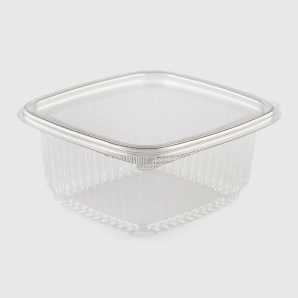 small squared hinged lid plastic container300