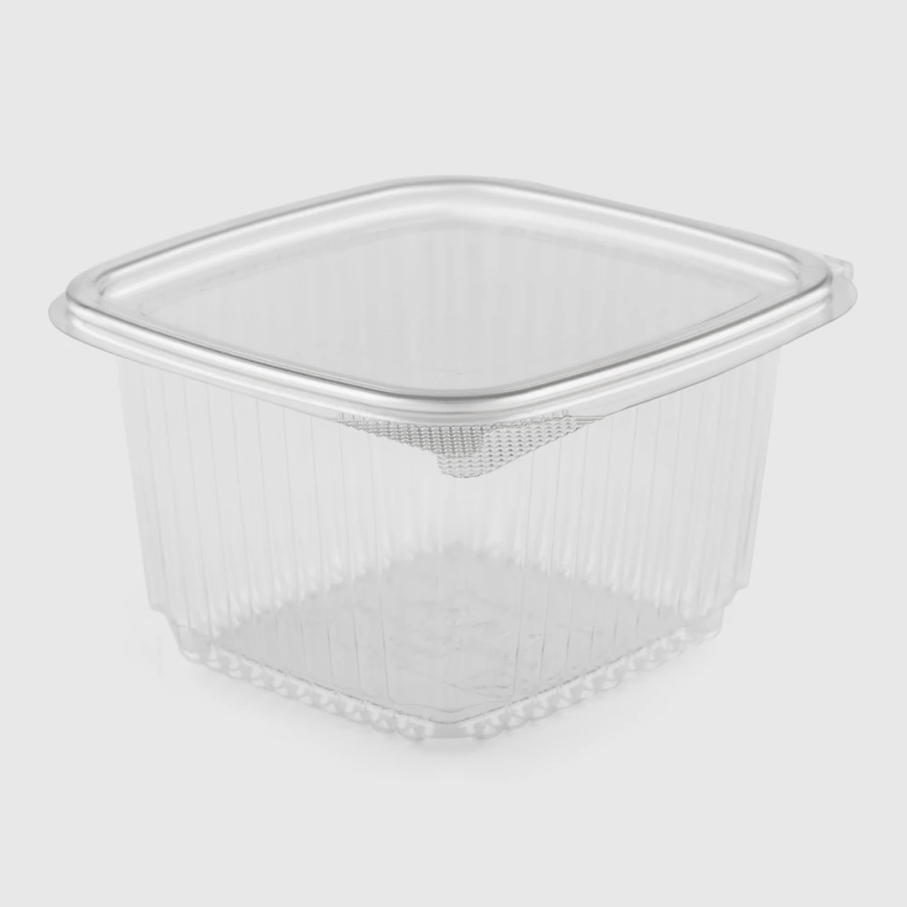small squared hinged lid plastic container375